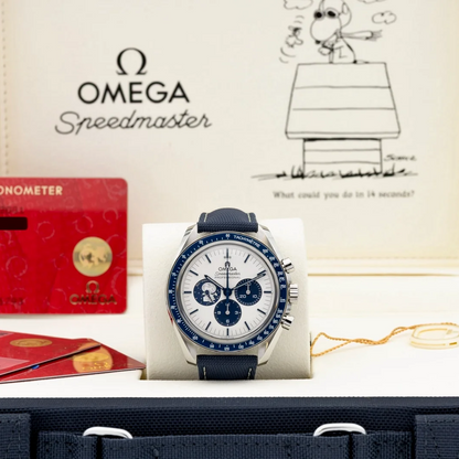 Seamaster Diver 300M Steel – Black Dial Omega Type
