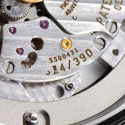 Aquanaut 40mm Brown Dial Brown - Authentic Movement