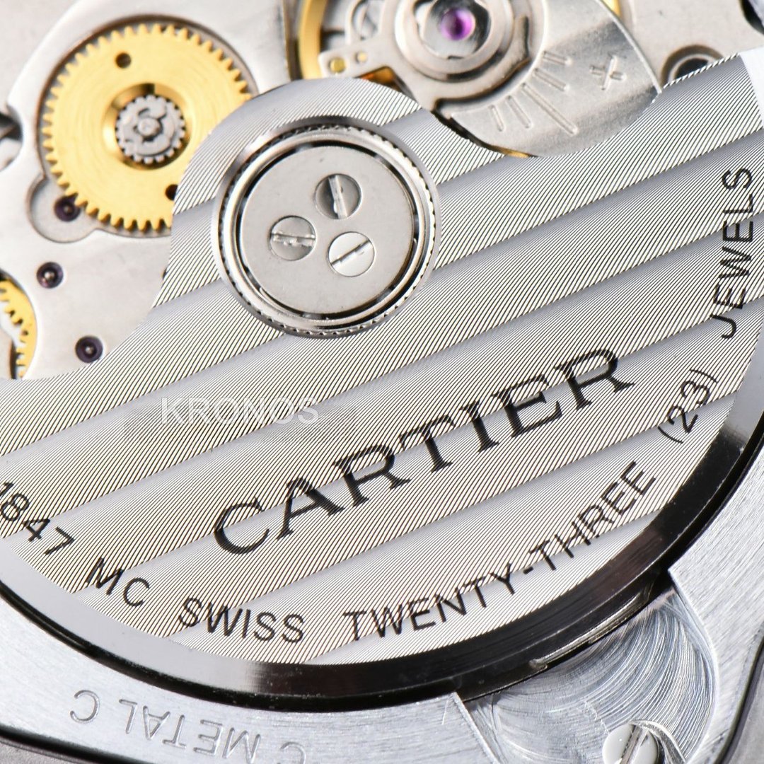 Santos Large 40mm Brown Dial Brown - Authentic Movement