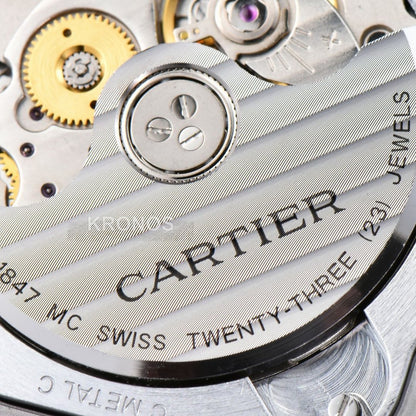 Santos Large 40mm Brown Dial Brown - Authentic Movement